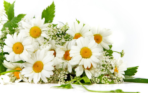 518292 (a): :2560x1600